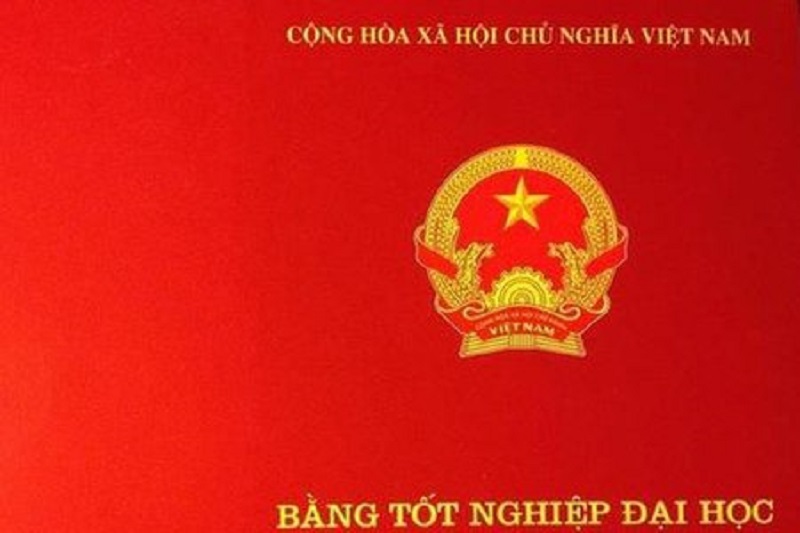 hệ đào tạo tiếng anh là gì