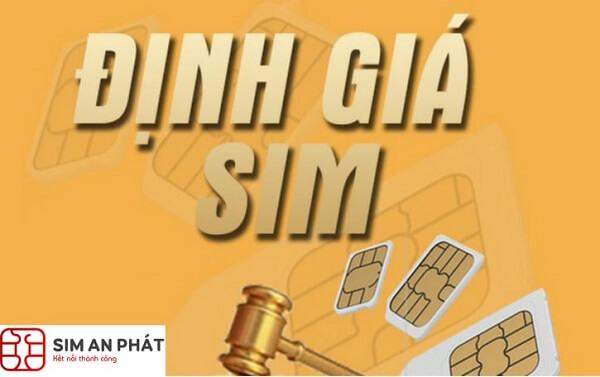 dinh-gia-sim-so-dep-va-nhung-dieu-can-luu-y-1